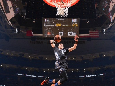 AYX·爱游戏-嘉定汇龙官方宣布佐兰·扬科维奇执掌一线队帅印，开启中甲联赛新篇章