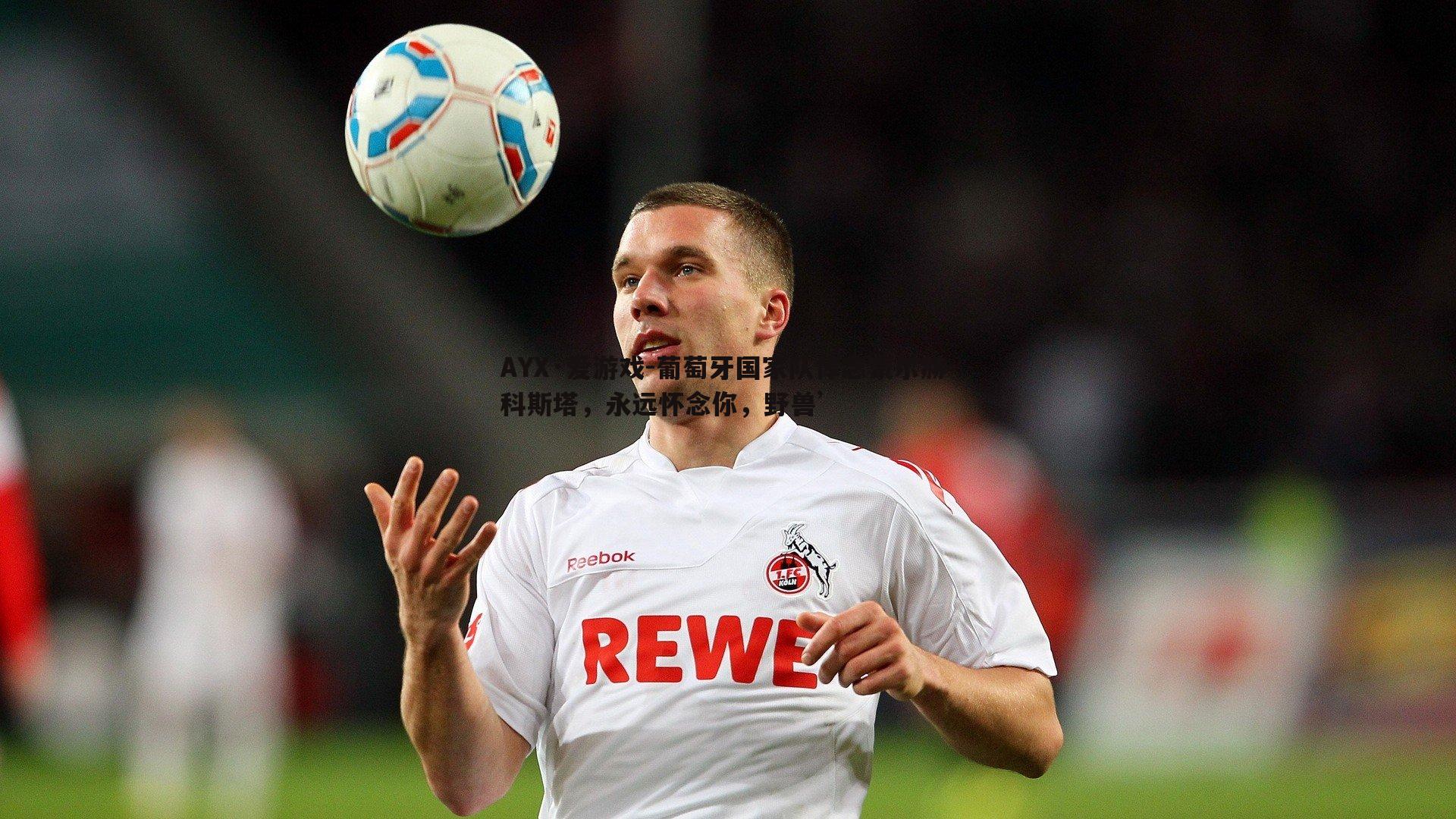 葡萄牙国家队悼念豪尔赫-科斯塔,永远怀念你,野兽’