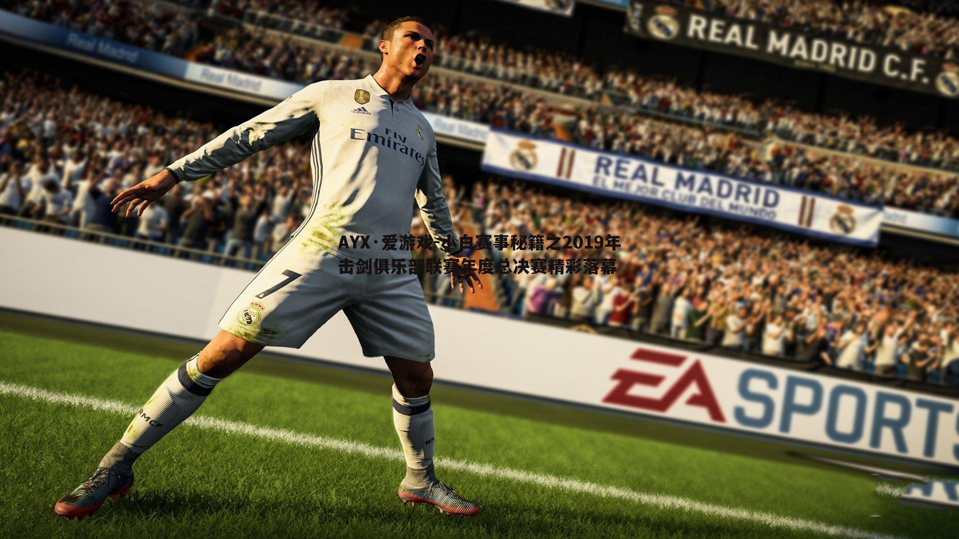 小白赛事秘籍之2019年击剑俱乐部联赛年度总决赛精彩落幕