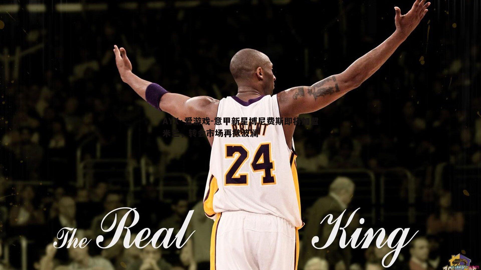 意甲新星博尼费斯即将加盟米兰,转会市场再掀波澜